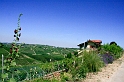 Piemont 2009  219